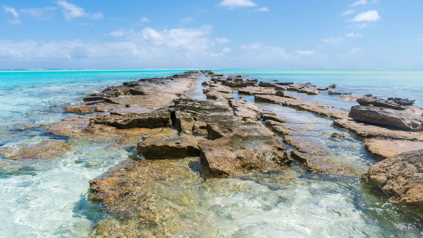 cook island company