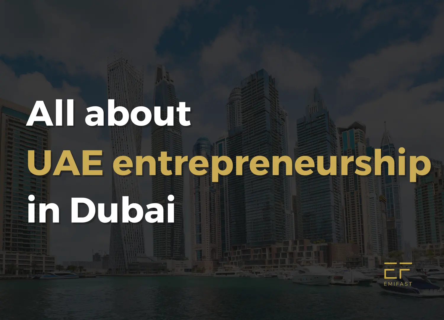 UAE entreprenuership