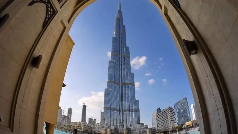 What Is an Establishment Card in the UAE and Why Do You Need One?