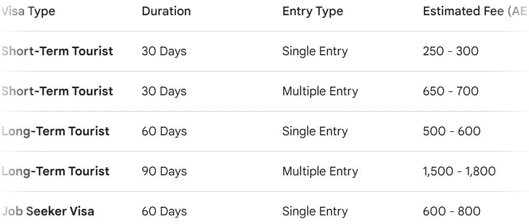 A comparison table of UAE visit visa options for 2026